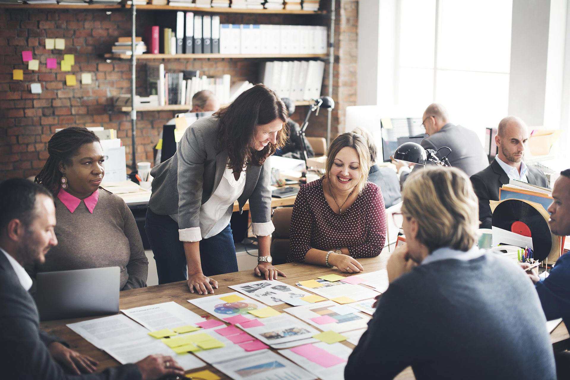 Shield Bearer | Professional Development