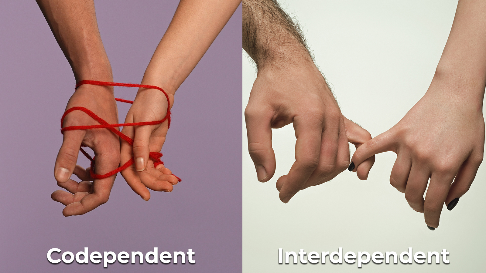 Shield Bearer | Codependency vs. Interdependence in Relationships Codependent vs Interdependent Relationships
