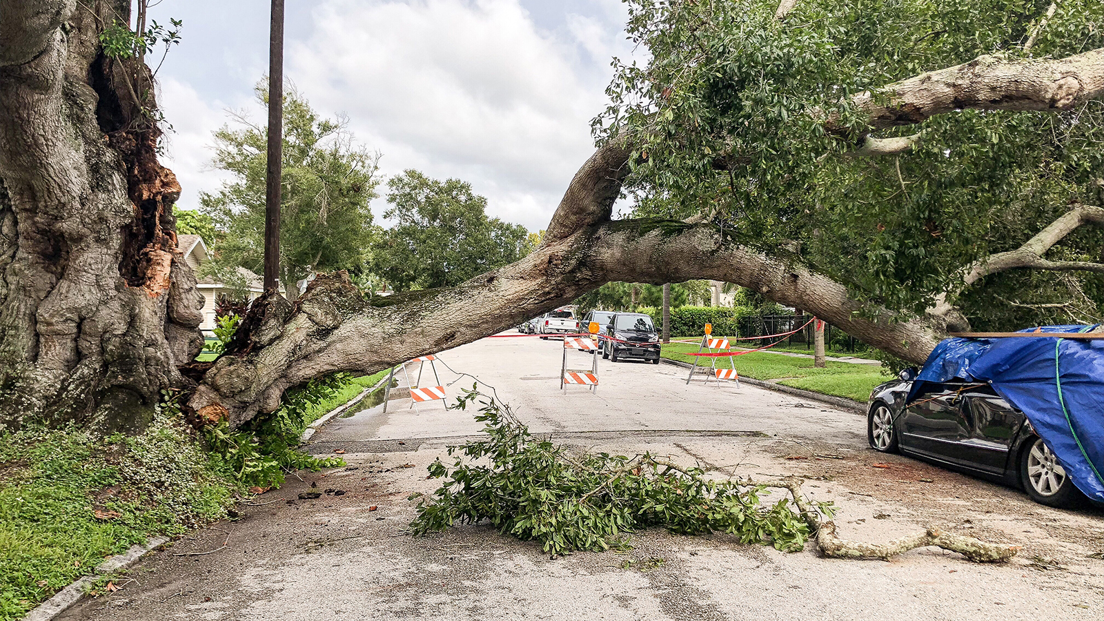 Shield Bearer | Christian Counseling in Houston | Shield Bearer Counseling Houston natural disaster